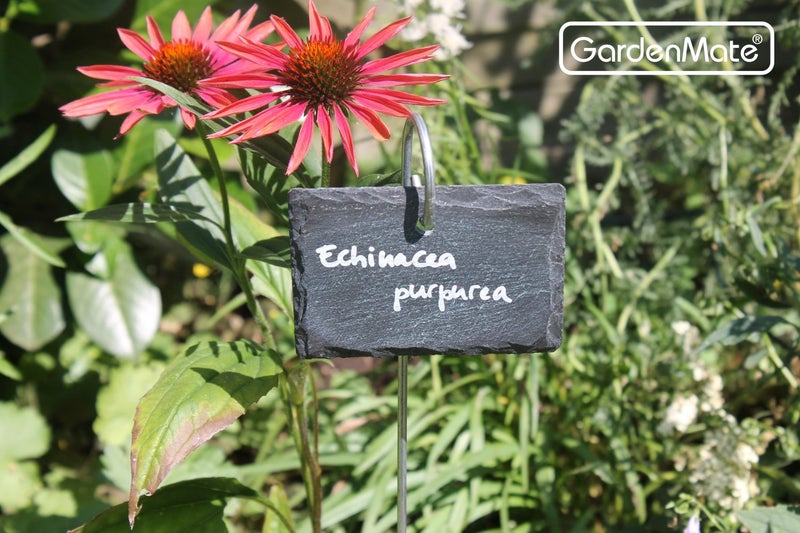 GardenMate 10-Pack Natural Style Slate Plant Labels (4"x 2 3/4") Hanging from a Stainless Steel Metal Rod (22") - Image 2